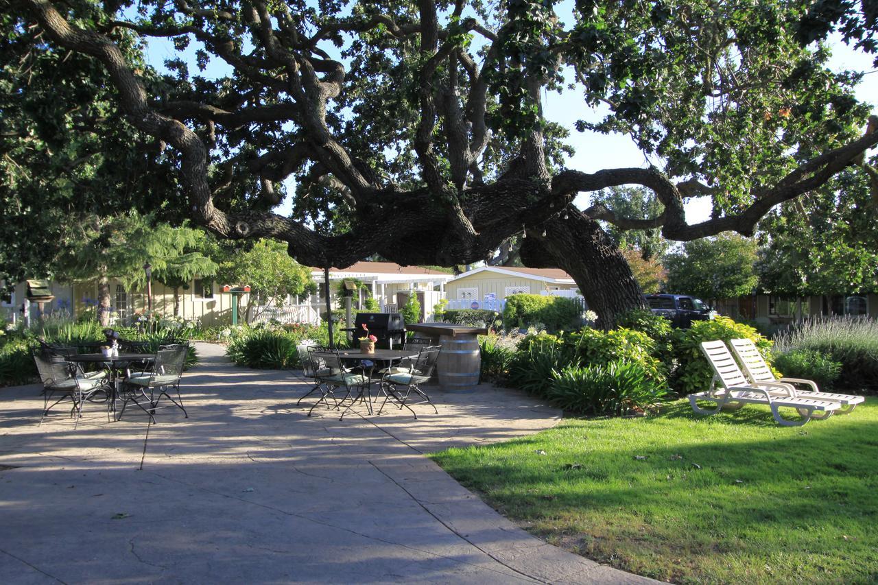 סולבנג Meadowlark Inn מראה חיצוני תמונה